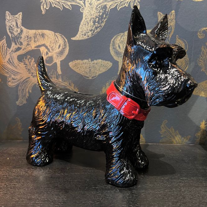 Hovedbilde Sparebøsse terrier hund i sort