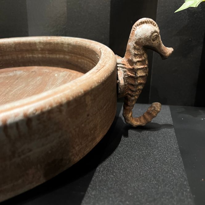 Hovedbilde Treskål Seahorse