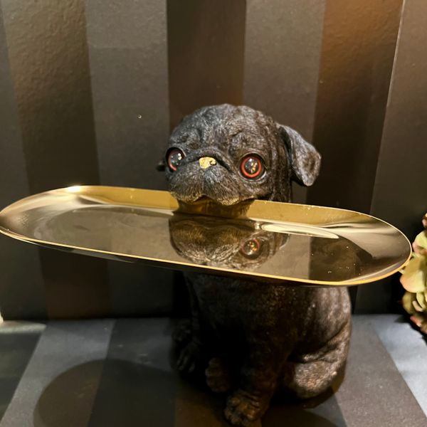 Hovedbilde Mops Butler, hund med fat