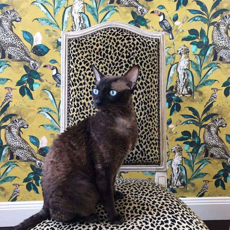 Cheetah tapet mustard