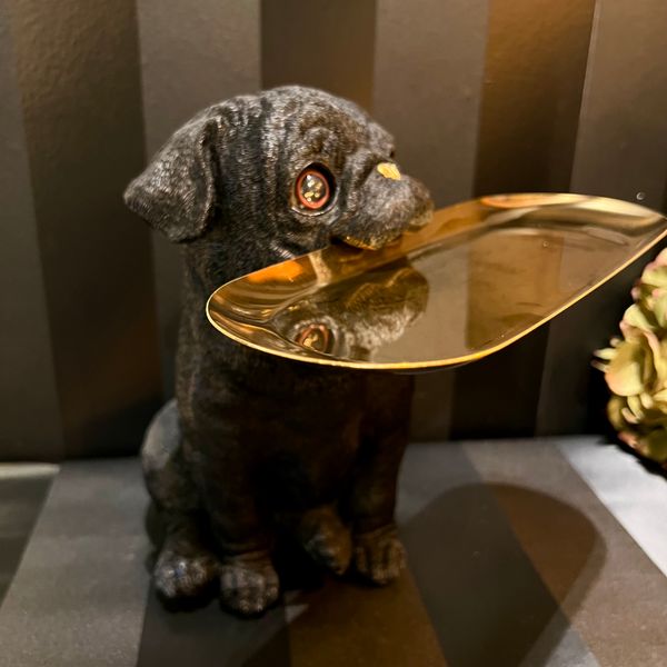 Hovedbilde Mops Butler, hund med fat