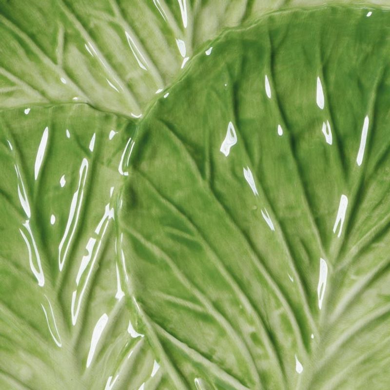 Lettuce tallerken liten, 