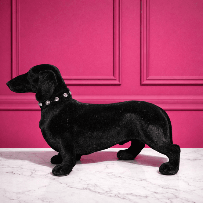 Hovedbilde Dachshund svart 22 cm