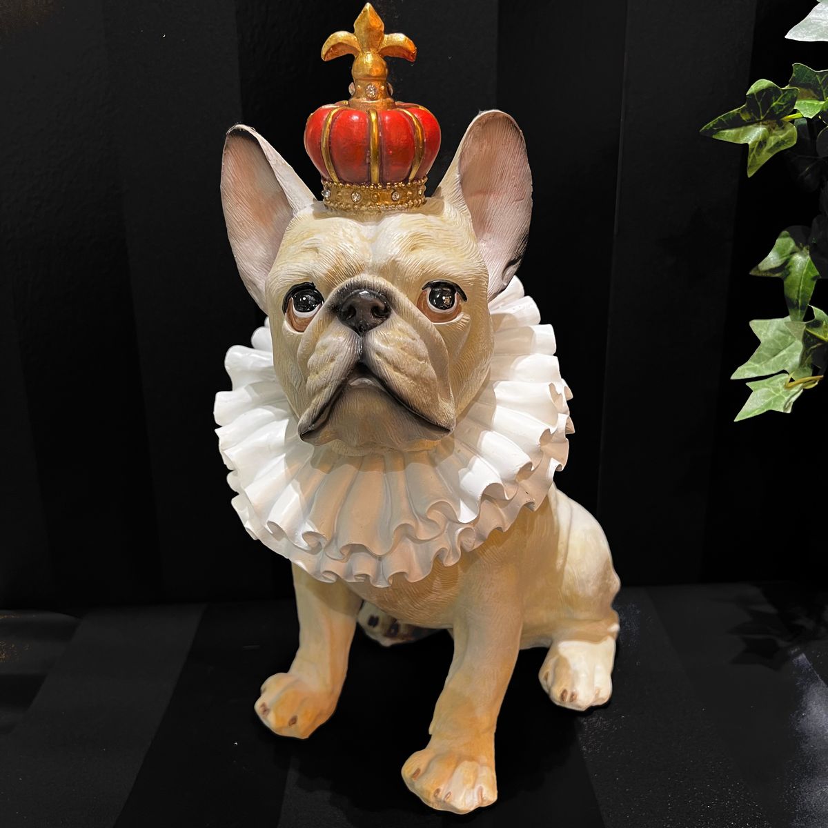 King Dog hvit med krone