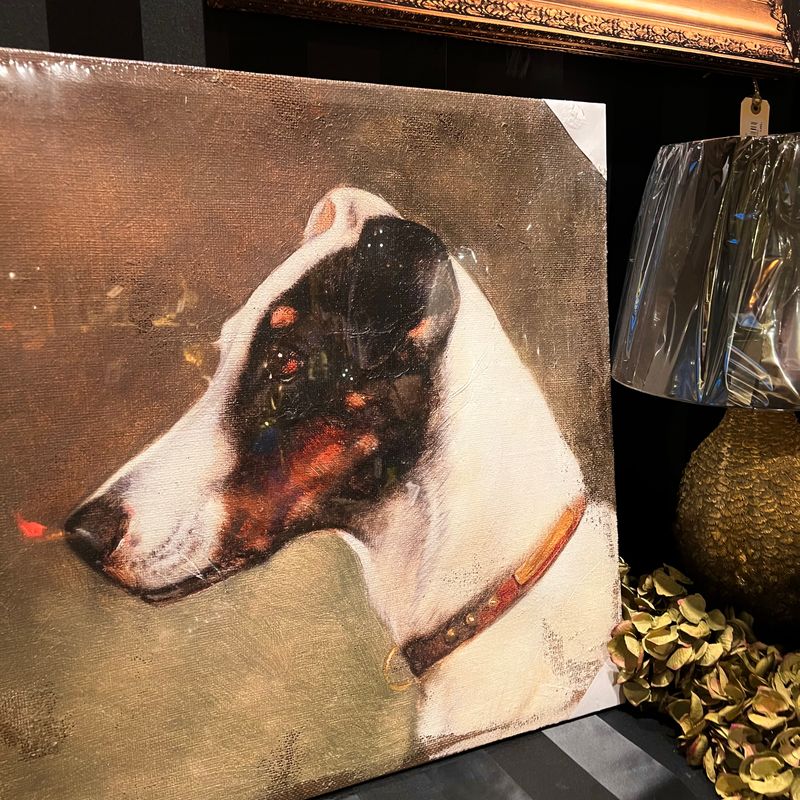 Bilde av Hund, 60x60 cm 